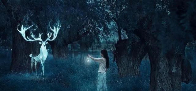 似曾相识 梦境是前世记忆的传递，还是能预知未来？科学家：或是平行世界