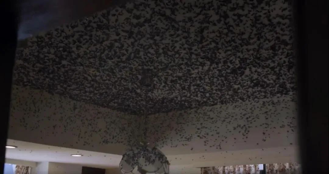 电影 尺度惊人,头皮发麻,这部限制级华语剧该爆!