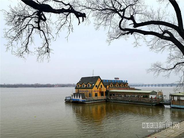 哈尔滨新闻网 大风蓝色+森林（草原）火险黄色预警丨今天全市回暖，阵风达7-8级