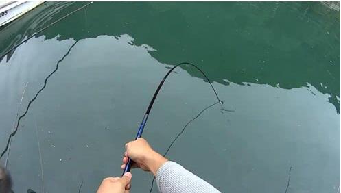 |掌握了这些遛鱼技巧，钓上大鱼，就再也不用担心跑鱼了
