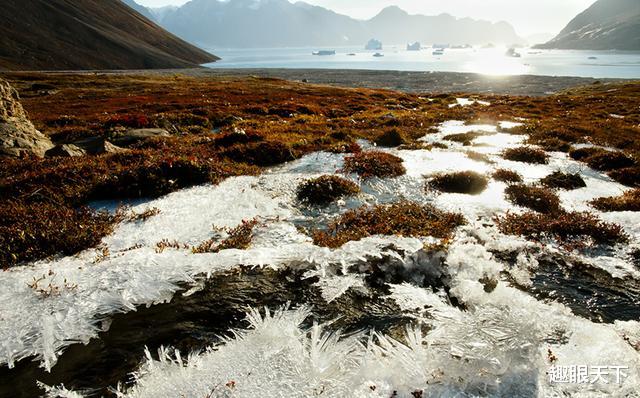 科学家 阿尔卑斯山传来不好消息，专家：不是好事，当心古老病毒复活