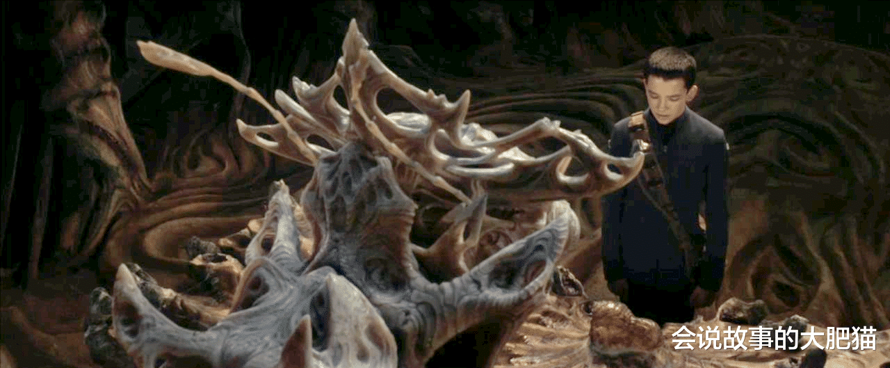 昆虫 《安德的游戏》虫族生物资料 放在真实战场人类几乎没有胜算