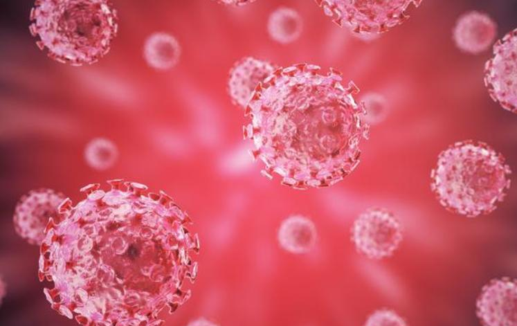 中草药|癌症晚期，每天用中医“3味草药”战胜癌症，度过五年生存期