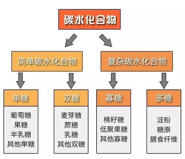 纤靓惠美体汇|为什么明星都在抗糖?正确抗糖方式请收好!