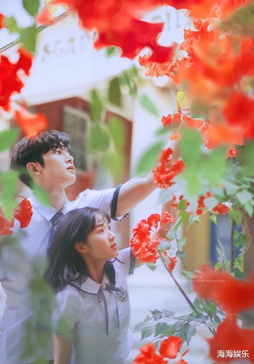 韩剧|4部高分韩剧，每一部都经典，拯救剧荒的你！