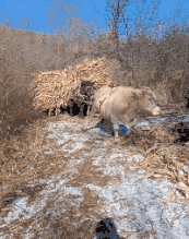 萌控孩|“从爷爷床底下发现的,这到底值不值钱啊?”哈哈哈感觉自己要发财了啊