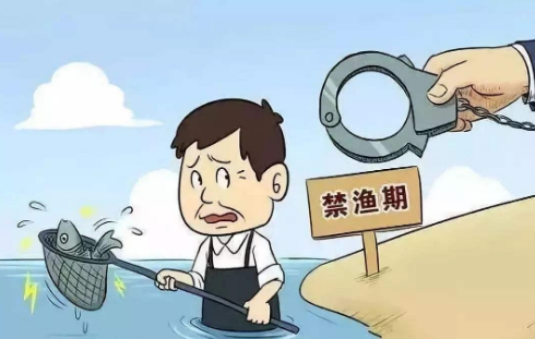 非法捕鱼|非法捕鱼的代价! 湖南两人禁捕区偷捕水生动物，被开除党籍遭严罚