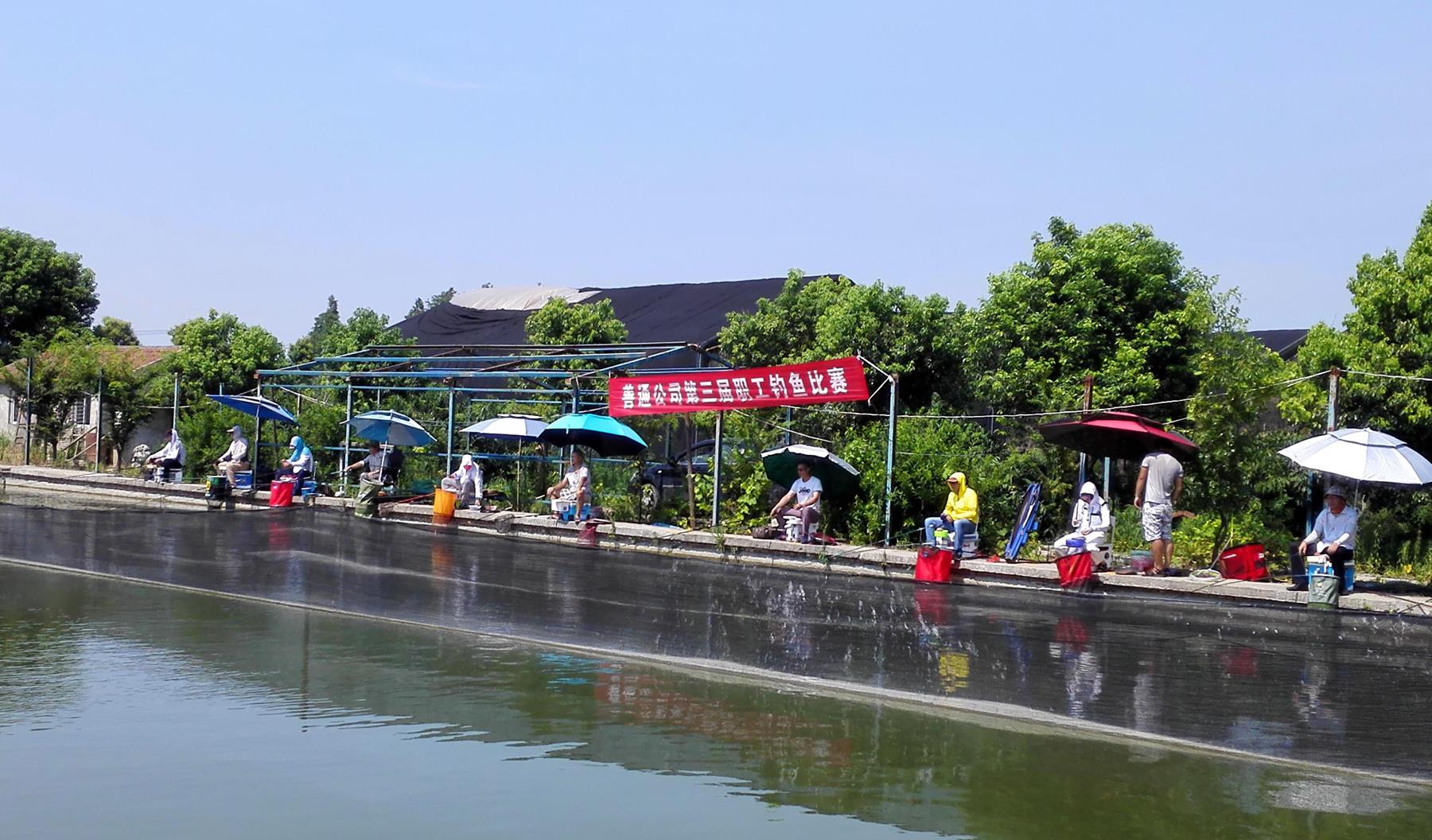 |为什么钓鱼钓不过别人?黑坑钓鲤鱼比赛钓不过别人的几个主要原因