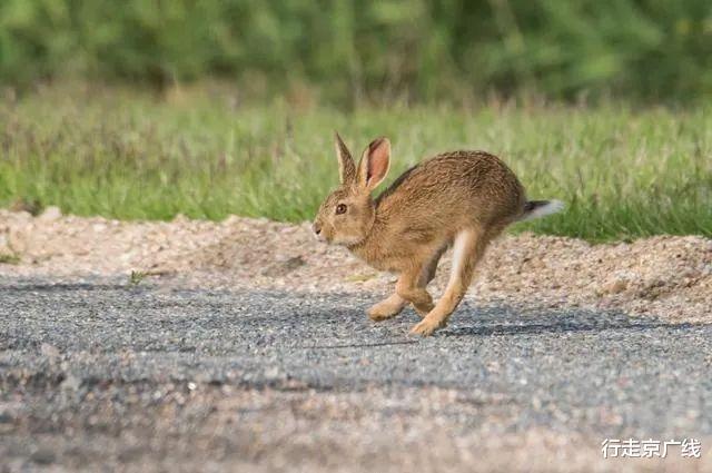 才子佳人|孔子钓鱼时是怎么教导他的猎户出身的学生子路的