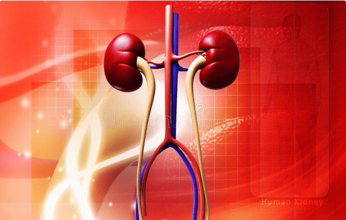 肾病|肾病一定会发生尿毒症吗？还能停药吗？满足3个标准不用担心