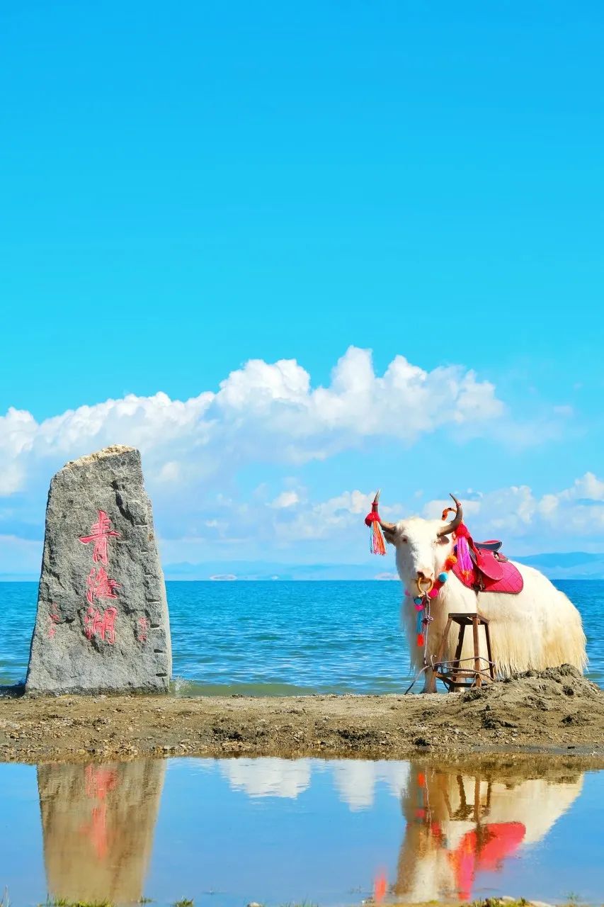 上海市 “中国最美的50个地方”榜单出炉!你打卡过几个?