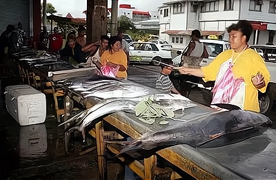 美国|关于萨摩亚独立国的知识干货，您知道几个？