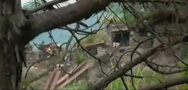 小猫咪的星座故事 高原边境爆发狙击战！两名印度指挥官被爆头，激烈枪声响彻山谷