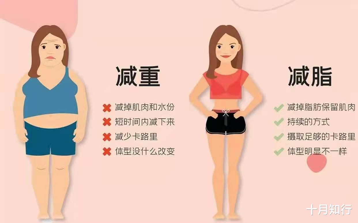 护肤品 为什么减肥要关注体脂率而非体重？减脂，如何尽可能避免肌肉流失