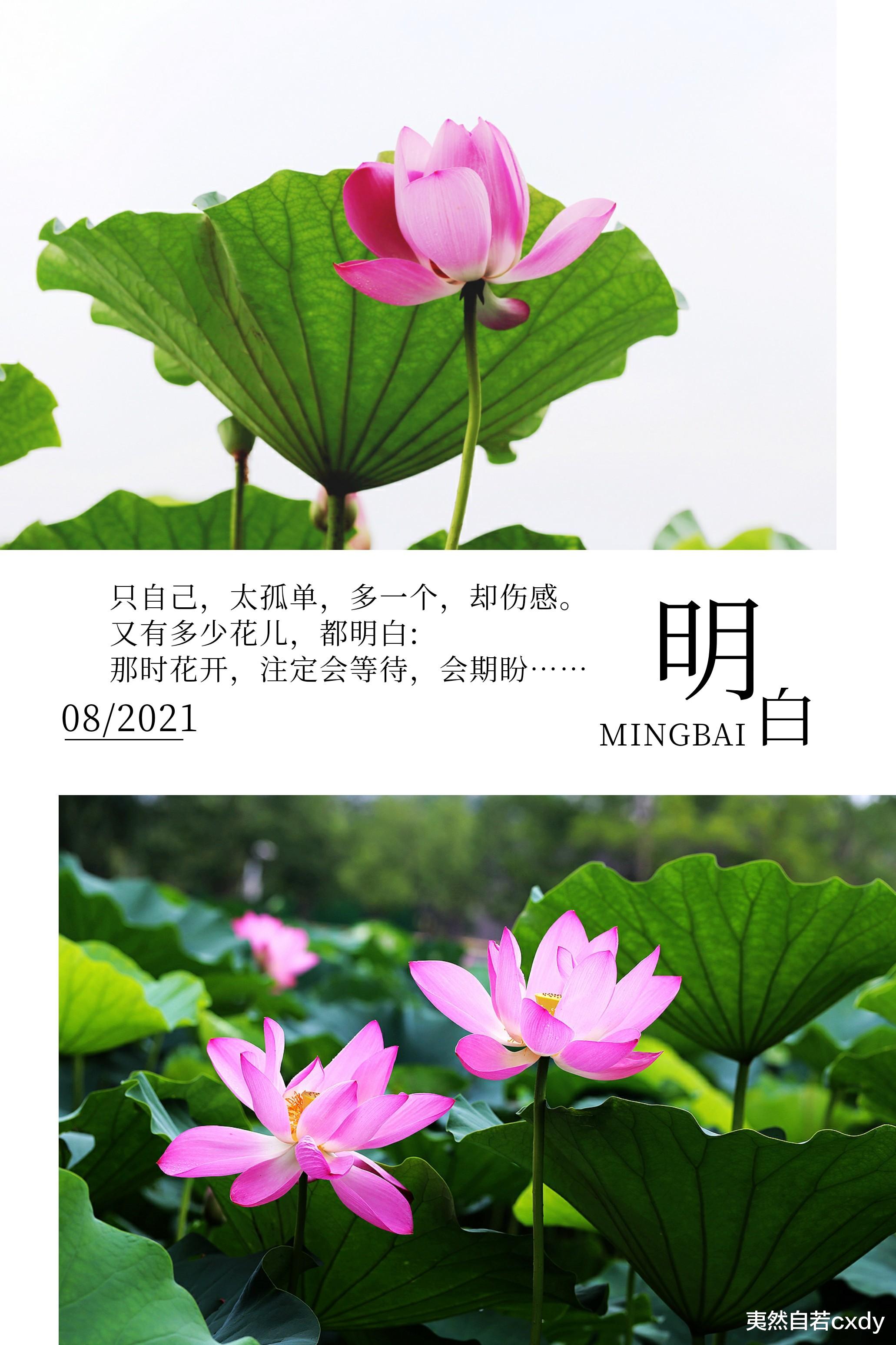 夷然自若cxdy|季节终会凋敝所有颜色，想问：到那时，君可爱我如此刻？