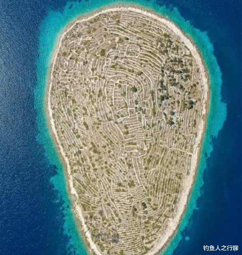 |27张活久见的照片，看完涨姿势了