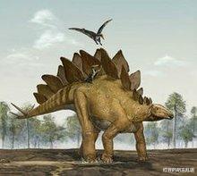 异特龙 剑龙告诉你关键时刻，一个脑子根本不够用。