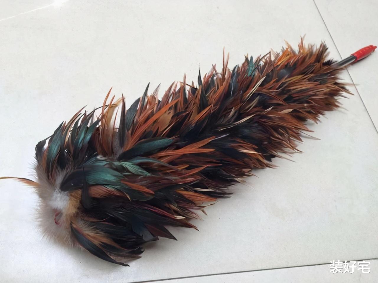 |诚心建议:别不舍得,家里这几样家居用品已经被淘汰,早该扔了