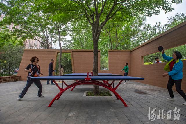 河北新闻网 河北石家庄：游园换新颜