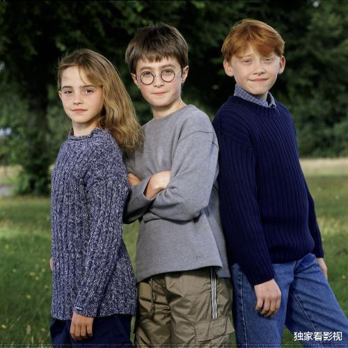 哈利·波特|《哈利波特》配角发展不输主角，有人演蝙蝠侠，有人成奥斯卡影帝