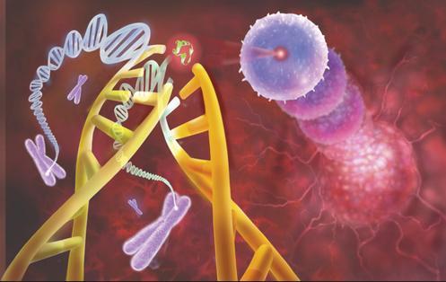 人体的“僵尸基因”，在人类死亡之后仍然活跃，甚至唤醒其他细胞