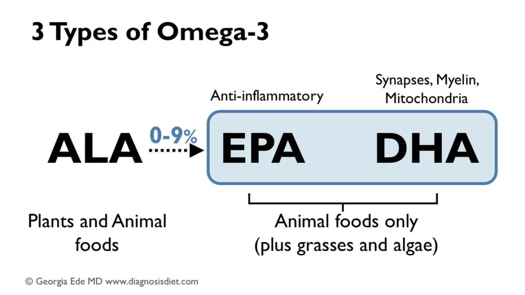 中耳炎|都说ω-3脂肪酸好，到底有哪些好处？吃多了有没有危害？