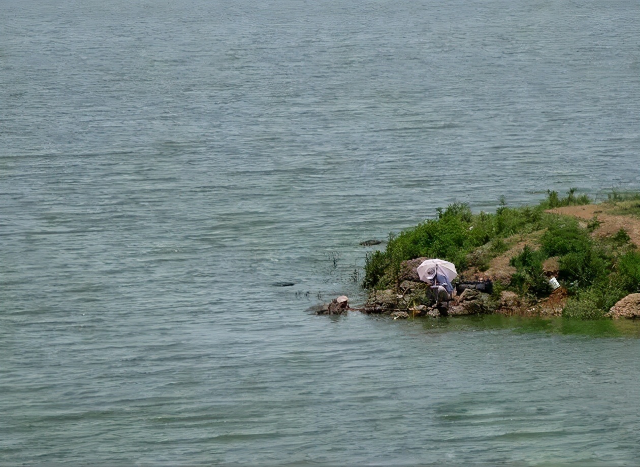 饵料|这三个坑人的观点着实坑了不少新手，只要是钓鱼人，几乎都被骗过