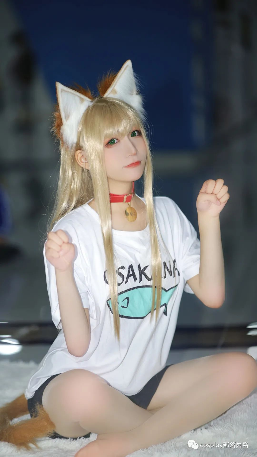 |cos：40原黄豆粉猫娘场照@赤瞳