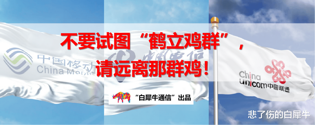 运营商|告运营商员工：不要试图“鹤立鸡群”，请远离那群鸡