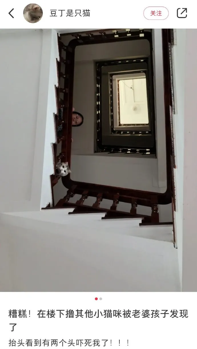 洞洞鞋|夏天穿洞洞鞋的烦恼