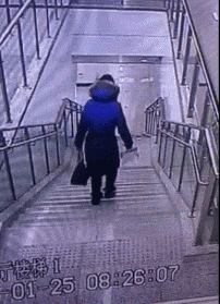 动物庄园|第一次带表妹去游泳,需要注意些啥?评论区都是魔鬼么!