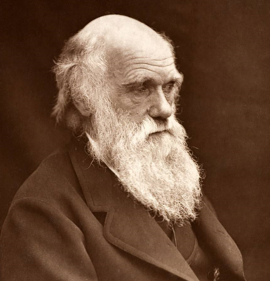 热力学 为什么大部分人类，对熵理论敬而远之？