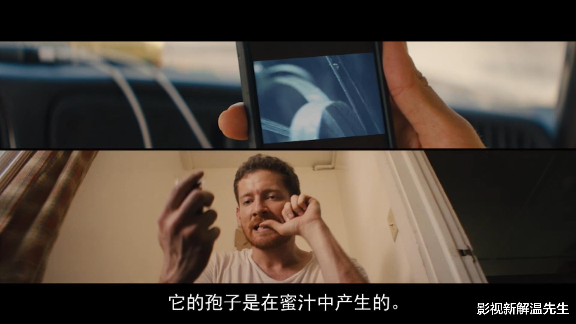 电影|《哈蜜》豆瓣评分4.6，2020年美国经典恐怖电影