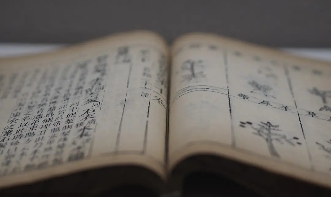 附子|如何用中医治疗马尾综合征引起的下肢感觉障碍?