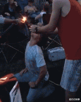 神回复 神回复:如果世界上所有的生物都开始反抗,人类可以撑多久