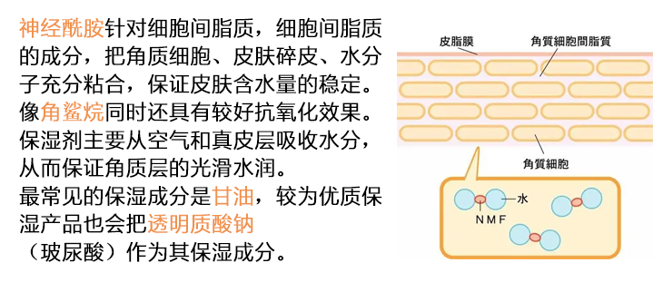 方方看时尚|一线孕妇护肤品到底值不值得买？值得万年回购的高端成分护肤品牌