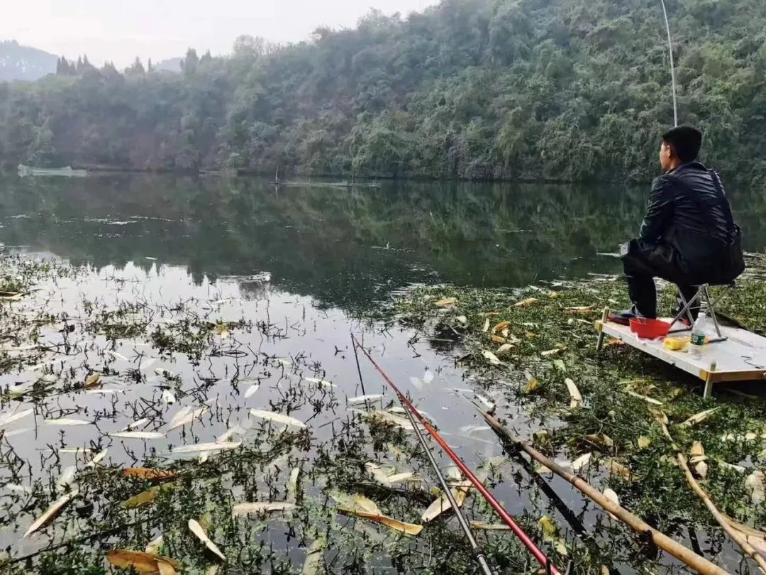 海钓|野奢不被鄙视？你问问那些爱钓鱼的老孩子们，他们有活蹦乱跳的经验！