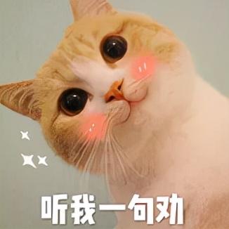 发型 糕妈:我的私藏变美好物大公开!效果堪比换头,最便宜的不到30块