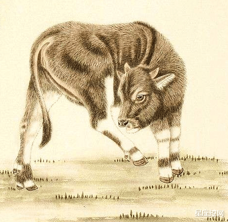 |啥属相的人2021苦中作乐，年底摆脱贫穷重获新生，明年宏图大展