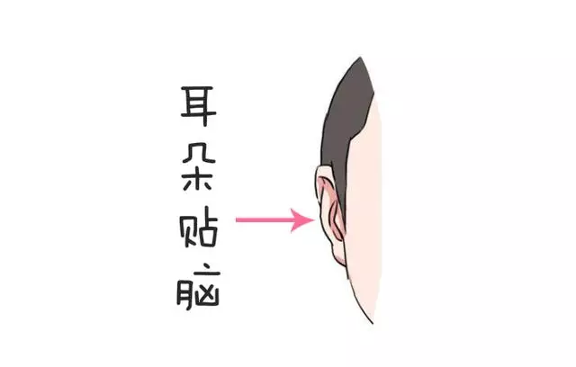 诚然命理 “看富看耳”,富人的耳朵大多数长这样!