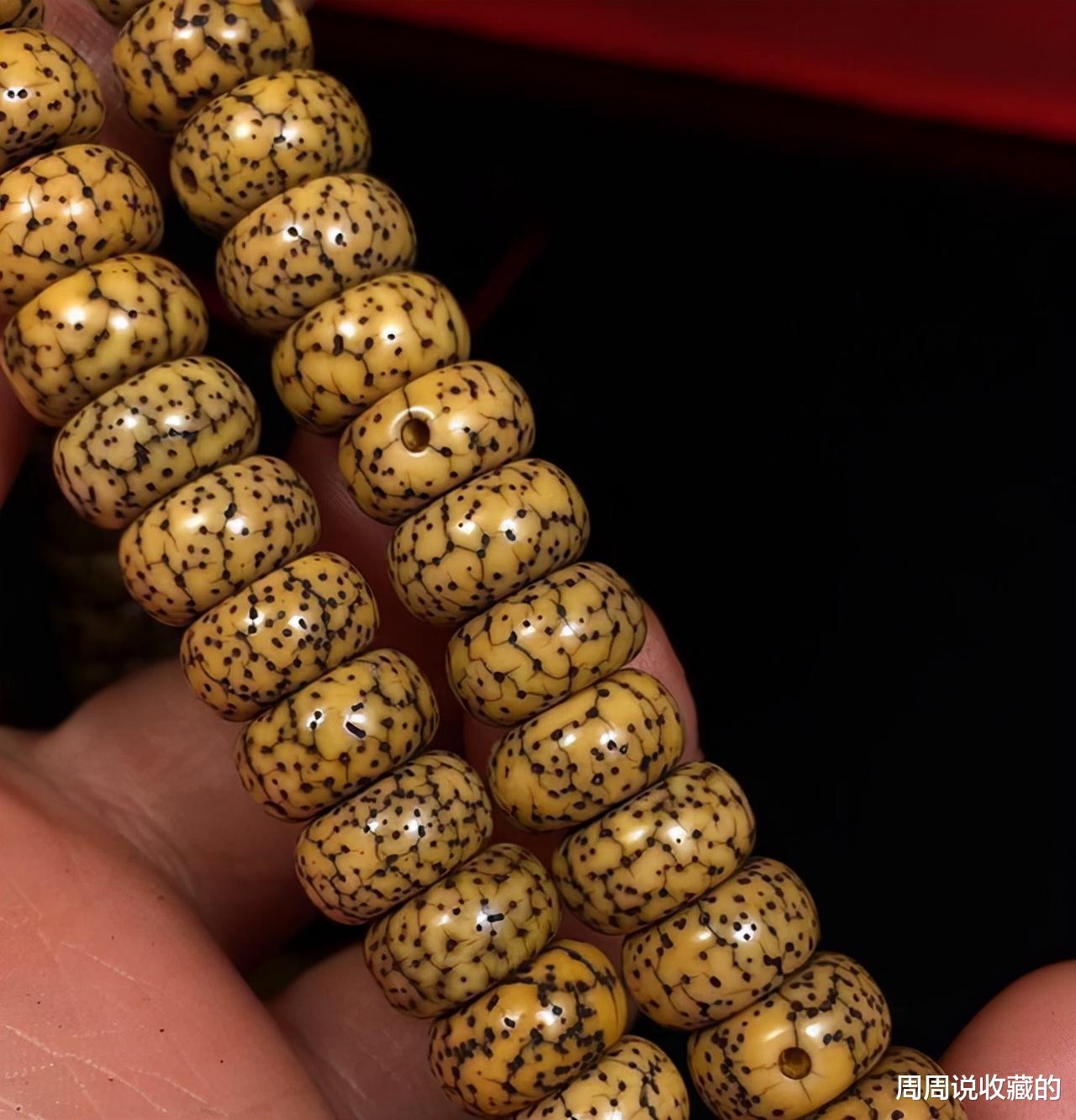 星月菩提|星月菩提为什么会水煮脱脂？