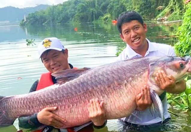 邕江|岁末了,盘点2020年垂钓圈发生的几件“大事”,一起来回顾一下吧