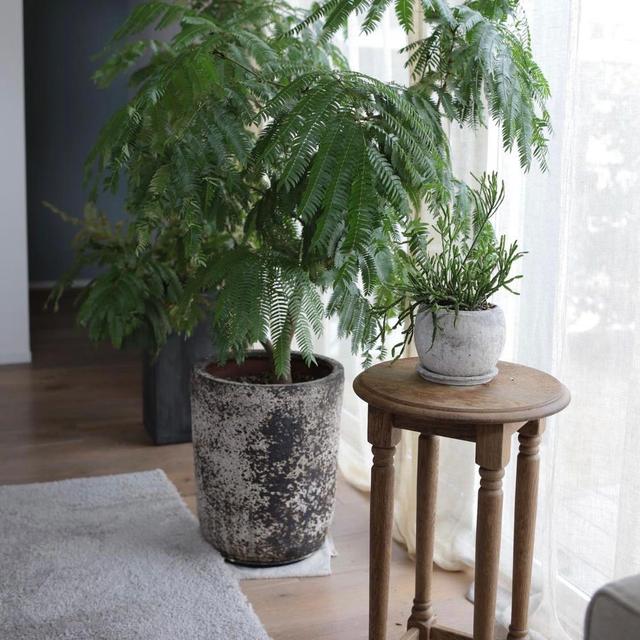 |看日本太太的家,太解压了!全屋井井有条,是许多家庭学习的榜样