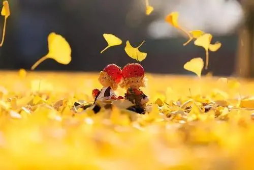 诚然情感之事|再婚情缘需用心,2023年官星合入命携手步入婚姻的八字