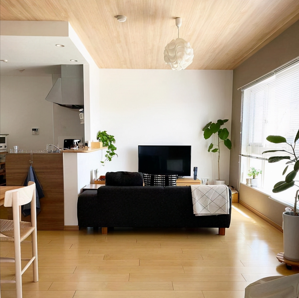 日本43㎡单身公寓，干净舒适人见人爱，一人住多久都不会腻