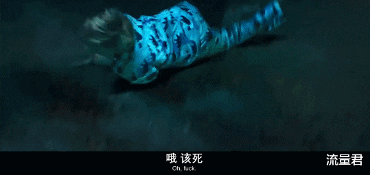 姐姐|被名字耽误的B级片，爽就完了！