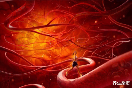 养生杂志|血管“清道夫”找到了，不是白开水，大胆敞开吃，血管一辈子不堵塞