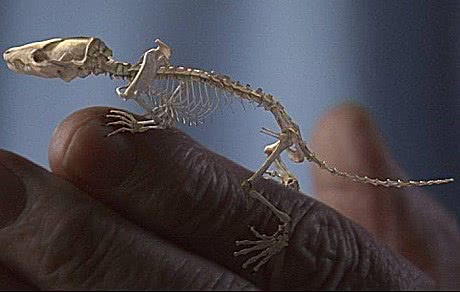 基因 地球与人类的前世今生,以及未来,你了解吗?