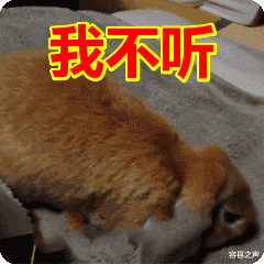 容县之声 节后返程高峰来袭，堵堵堵！广西高速上演堵车大片，从白天堵到黑夜