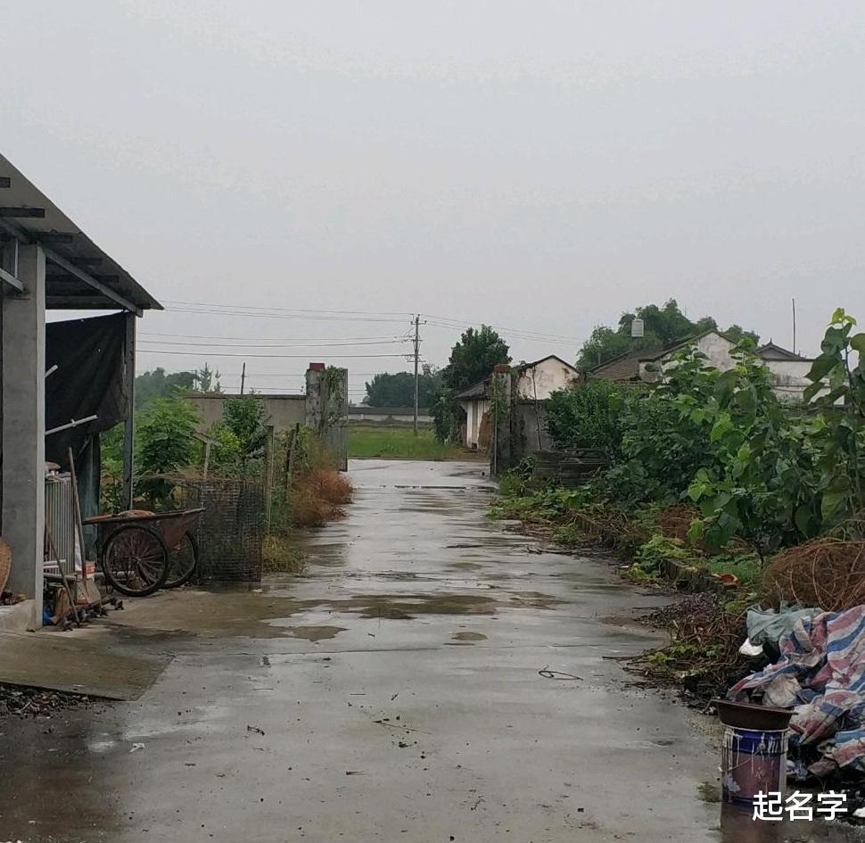 阳宅风水：大门正对着一根高压线电杆，还有3颗桑树，有没有影响？